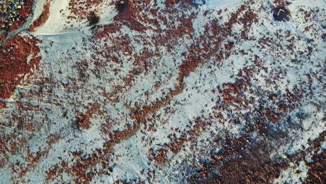 aerial flight pointed down at sandgerdi iceland shore at low tide revealing red and black rocks