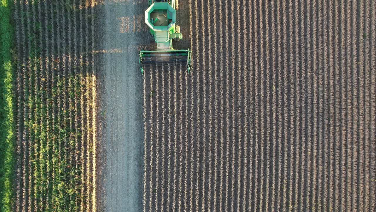 un agricultor cosecha una cosecha de soja en el noreste de wisconsin