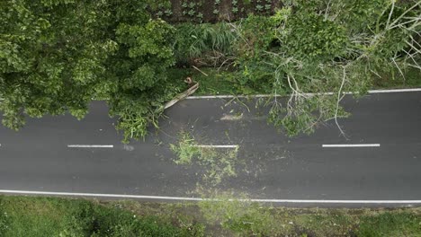 Coche-Pasando-Por-La-Carretera-Con-Un-árbol-Caído-Durante-El-Día