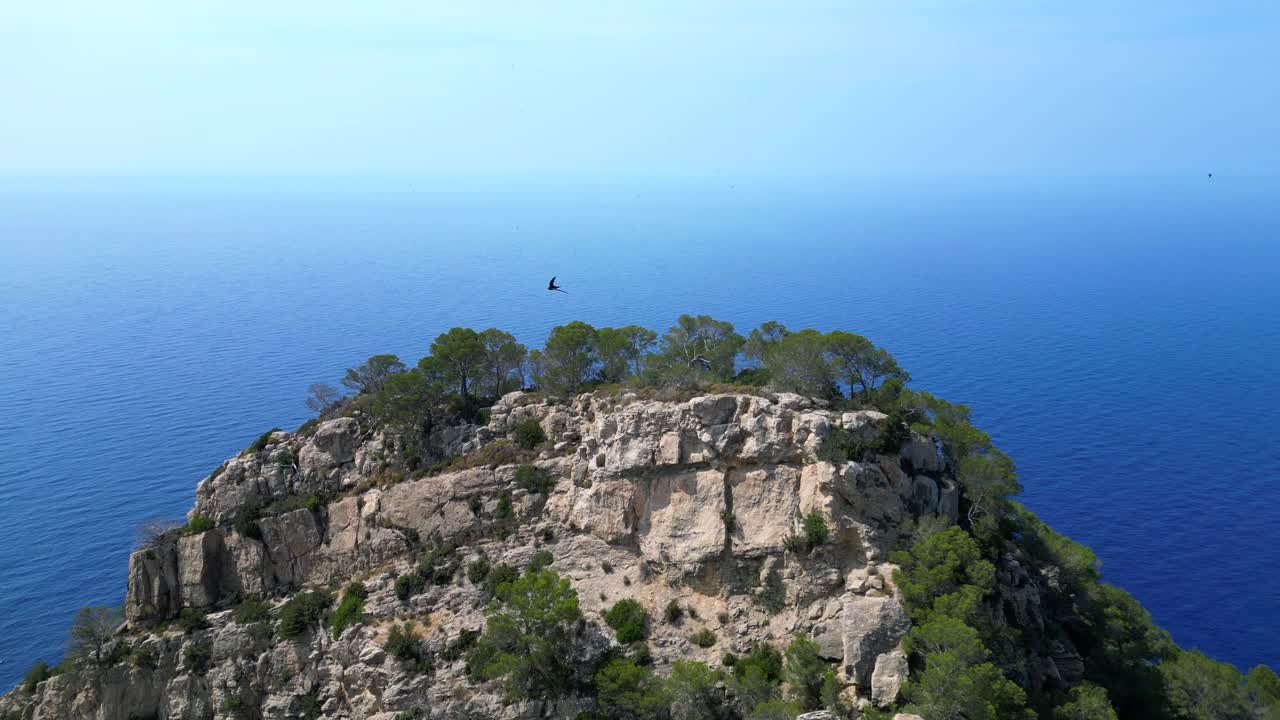 view of rocky cliffs and lush vegetation meeting the vast expanse of the Mediterranean Sea on the coast of Ibiza. Breathtaking aerial view flight fly reverse overflight flyover drone