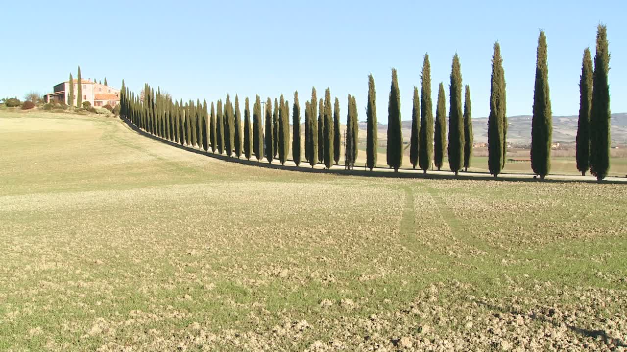 Et bredt skud af en landbrugsvilla med lange trærækker i Toscana, Italien 5