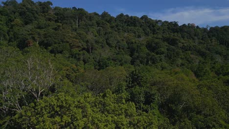 Ecosistema-Saludable-Dosel-De-Selva-Verde-Que-Cubre-Las-Laderas-De-Espectaculares-Picos-Montañosos-En-Langkawi,-Malasia