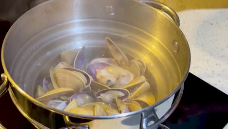 clams steaming in a pot on stove