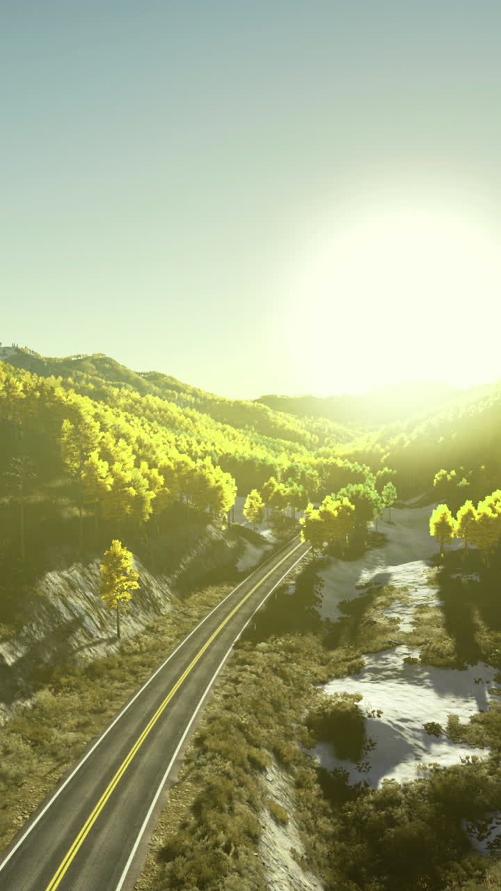 Beautiful landscape road surrounded by vibrant trees during sunset