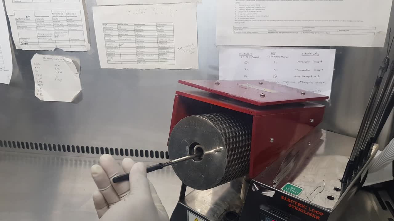 플래시 버너에서 예방 접종 루프의 살균.