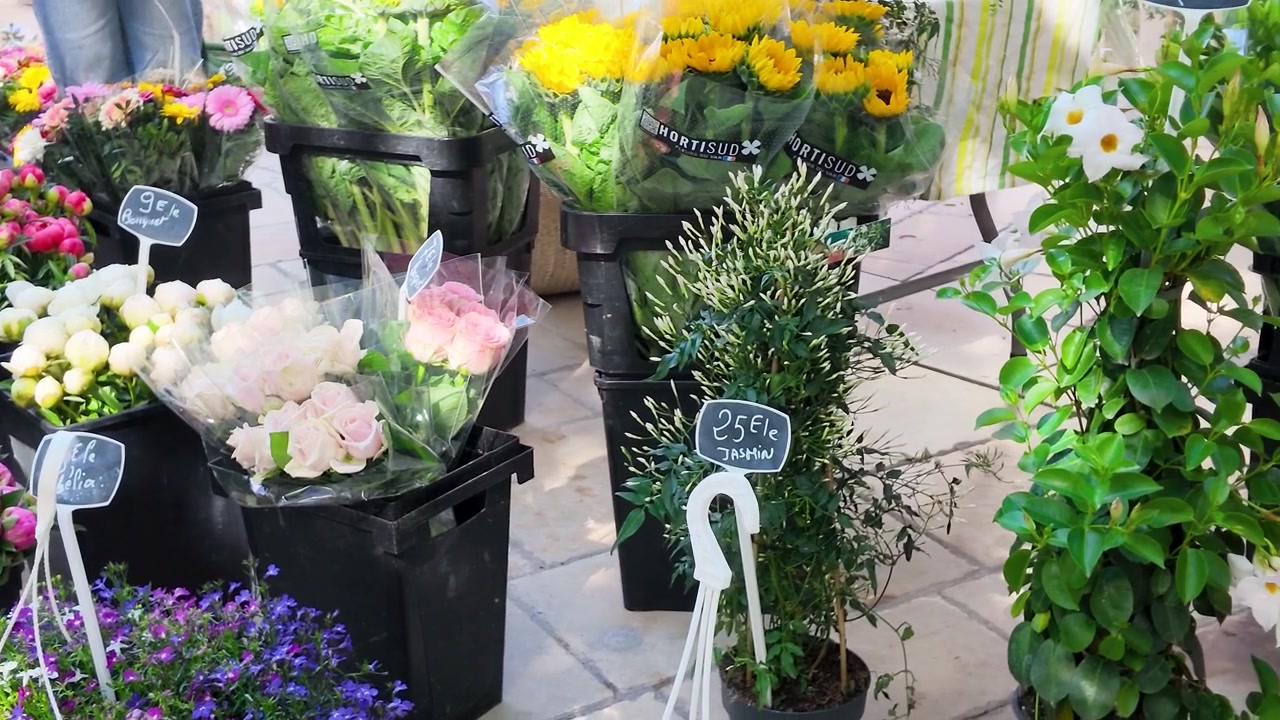 屋外のフランスの市場の屋台にある鮮やかな花束を横切る、ゆっくりとしたパンショット。