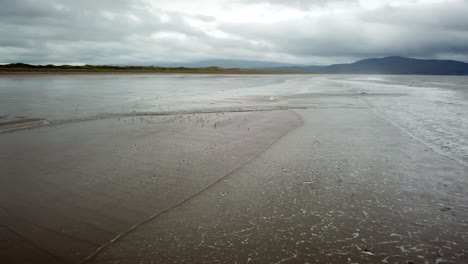 Eine-Gruppe-Von-Vögeln-Gleitet-über-Die-Wellen,-Die-Auf-Einen-Irischen-Sandstrand-Schlagen