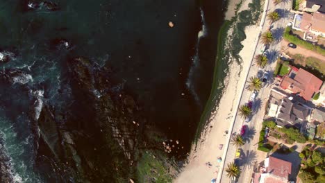 espiral y espectacular vista aérea, cámara lenta de gaviotas en las orillas de la playa en busca de comida, puesta de sol en la playa de los fósiles, algarrobo, chile