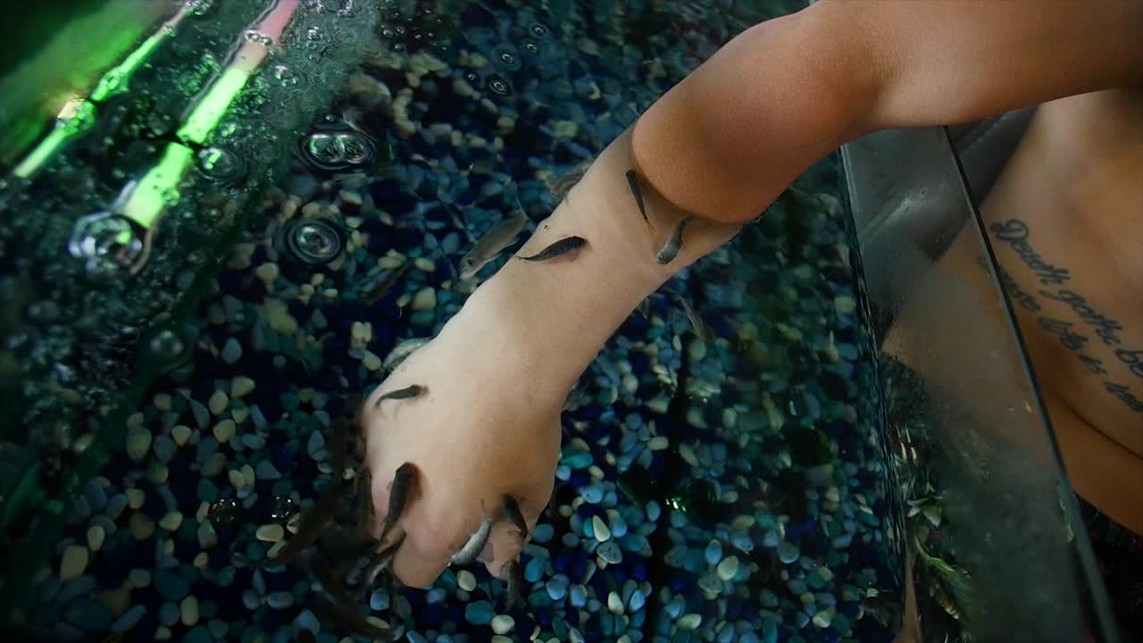 물고기 스파 손 치료