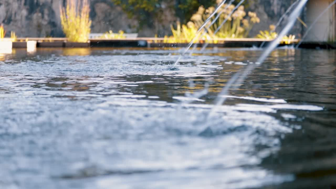 폐쇄된 화려한 정원의 물 기능