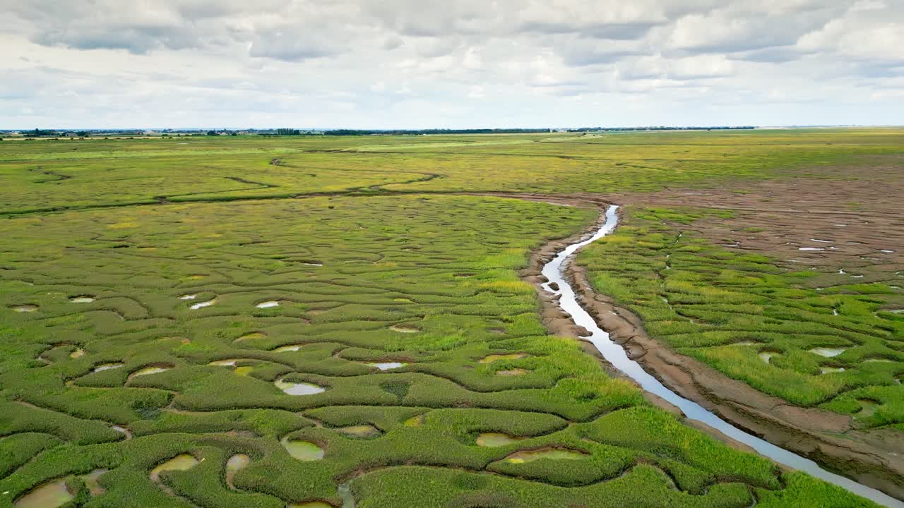 pisos de barro agrietados en un pantano salado