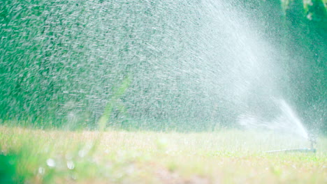 rotating automatic sprinkler over the lawn, modern irrigation device or system to the watering garden