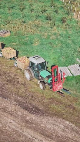 tractor transport wooden container full of apple fruits