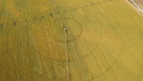 circular irrigation pattern on agricultural field