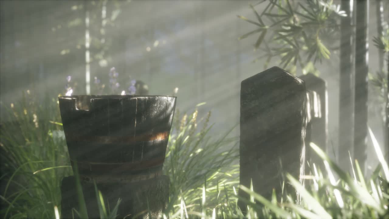 일본 대나무 숲 과 녹색 초원 잔디 와 자연 빛