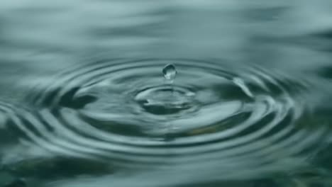 captivating ripples: a close-up exploration of water droplets creating intricate patterns and waves on a tranquil surface in nature