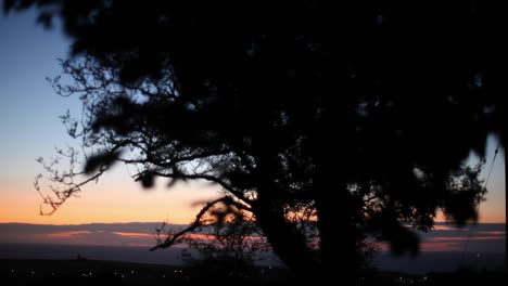 beautiful scene of a sunset above a rural town in england; colors in bursting in blue, pink, orange and yellow. standing under a black tree, leaves on a foreground. camera is panning upwards. hd