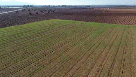 Landschaft-Des-Erntefeldes-La-Mancha-Aus-Drohnenansicht