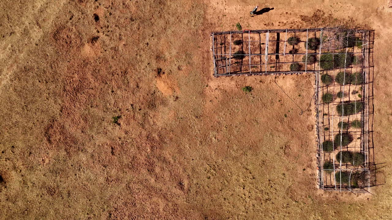 Overhead aerial person gardening preparing for planting in a drought-hit area