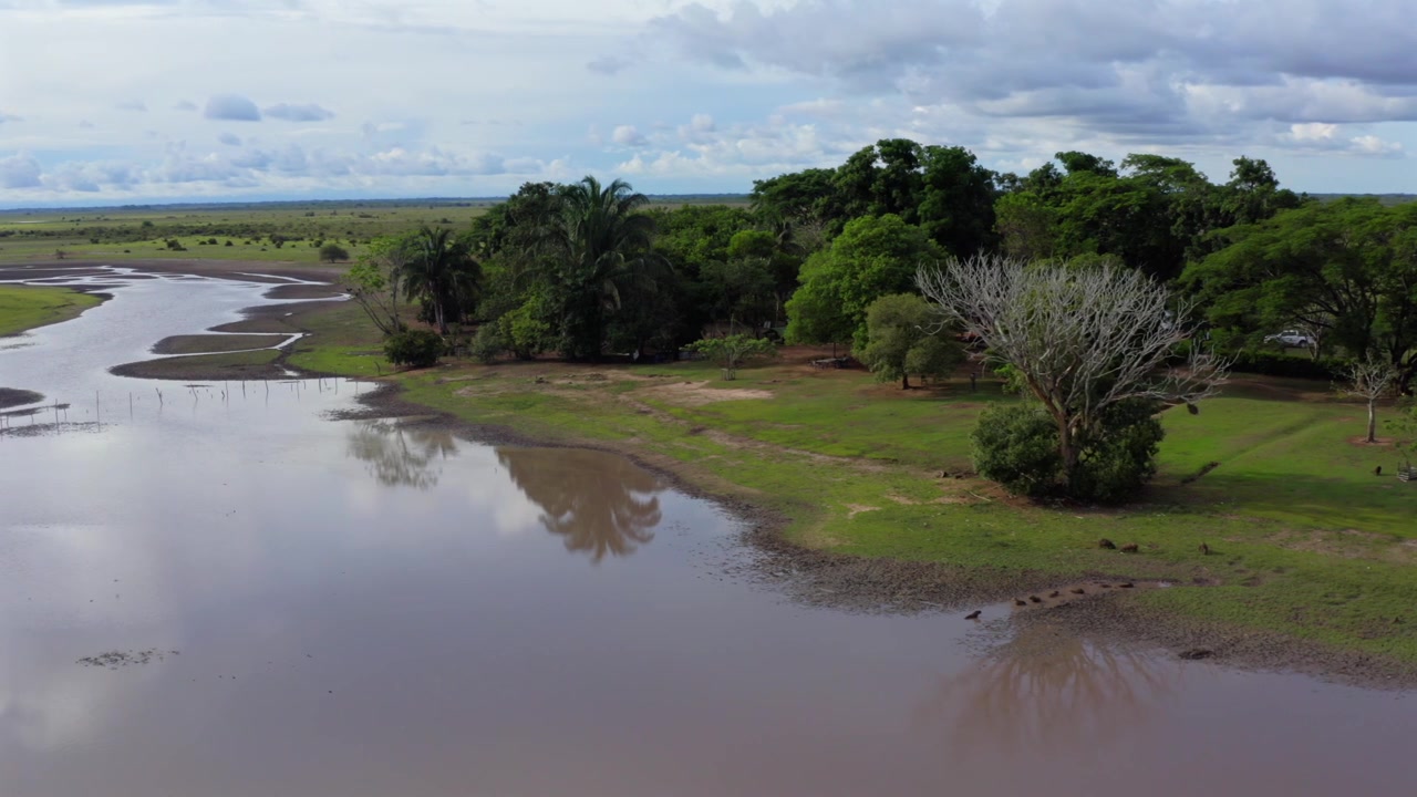 Vista aerea su un paesaggio di savana allagata nell'Orinoquia, che riflette il ritmo stagionale della vita delle zone umide condivisa da capibara e alberi autoctoni.