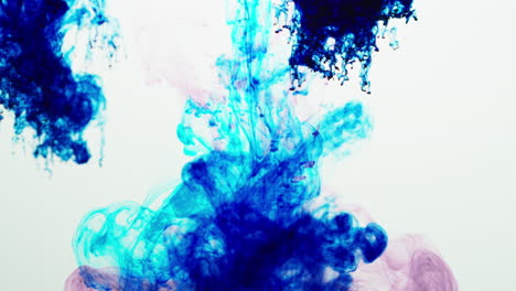 pintura o tinte púrpura y azul caído en el agua contra un fondo blanco para crear un fondo de humo colorido giratorio 5