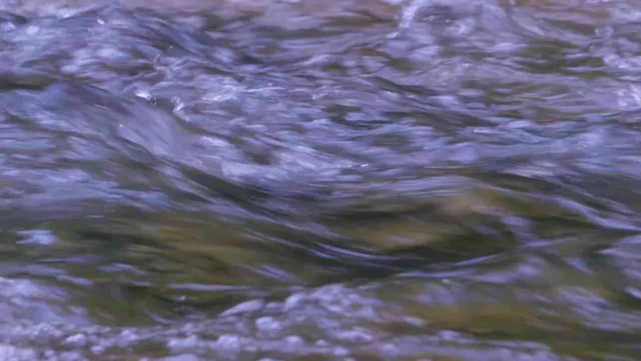 Surface of a clear freshwater, shallow forest stream that is flowing quickly with ripples and bubbling.