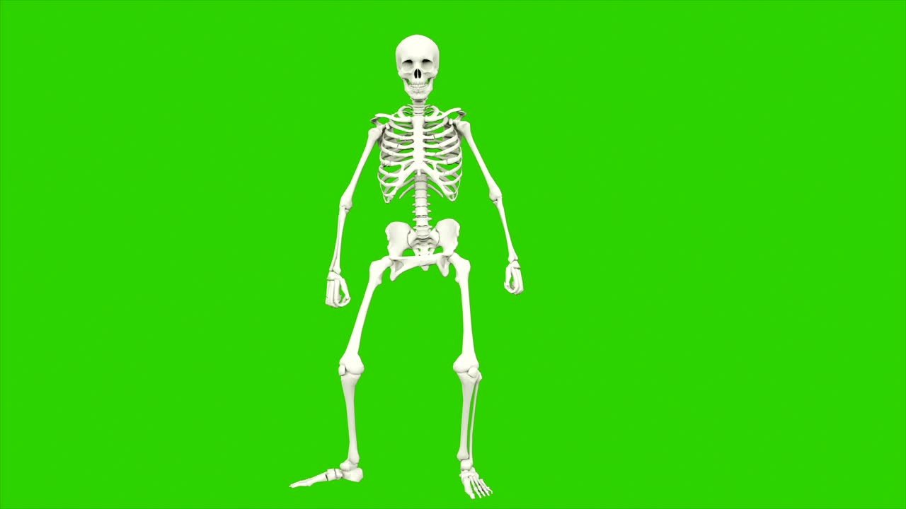 danza dello scheletro. animazione a loop senza soluzione di continuità sullo schermo verde.
