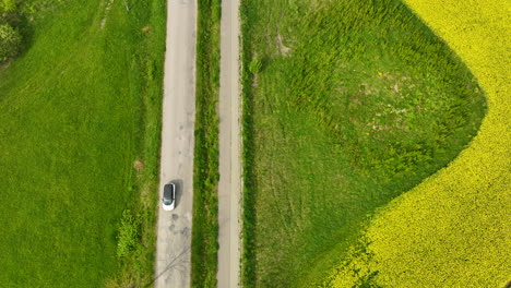 Aerial-view-of-a-rural-road-with-a-white-car-driving-along-it,-bordered-by-green-fields-and-a-yellow-rapeseed-field