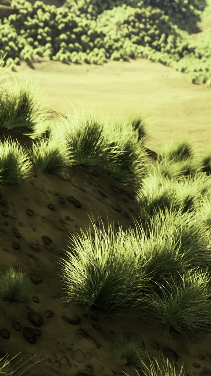 Vibrant green hills and lush grasslands under the warm light of late afternoon