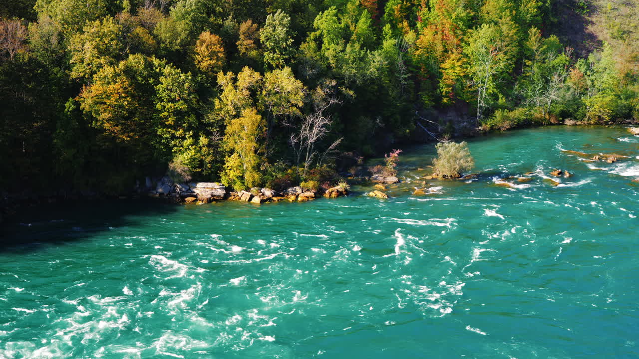 푸른 숲과 푸른 강