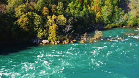 Grüner-Wald-Und-Blauer-Fluss