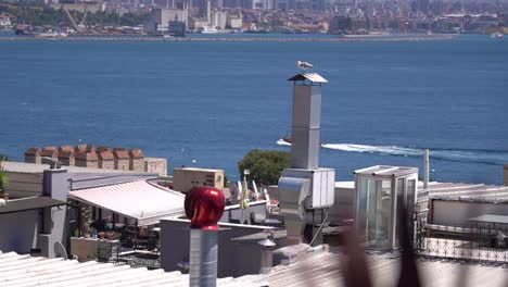 una gaviota de pie en una chimenea, con un yate pasando en la distancia