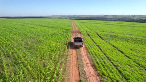 Camión-En-Camino-De-Tierra