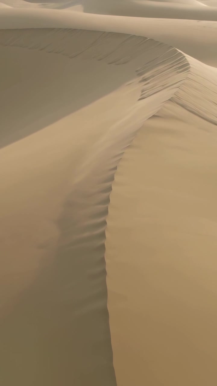 Video verticale: Telecamera in movimento che scorre lungo la cresta di una duna nel deserto, rivelando increspature e segni di scivolamento.