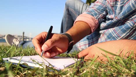 diario, cuadernos, hierba, escritura.