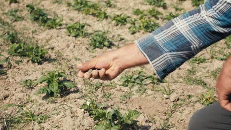 un agricultor con una camisa a cuadros levanta y aplasta el suelo seco destinado a los cultivos en su mano