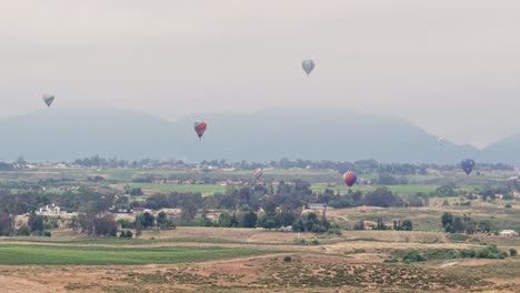 Temecula-Globo-Y-Festival-Del-Vino-Seis-Globos-Aerostáticos-Drone-Movimiento-De-Avance-Parapente-Vuela-Fotograma-Completo-De-Izquierda-A-Derecha