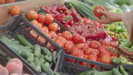 woman buying tomatoes at a farmers market