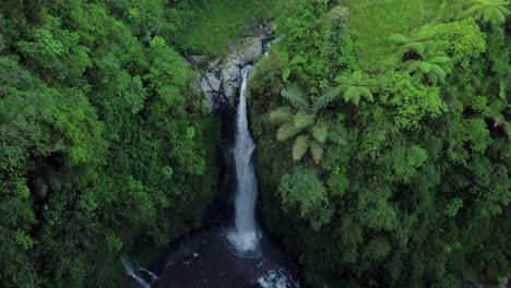 drone footage of kedung kayang waterfall with a height of up to forty meters and surrounded by plants and trees in central java indonesia