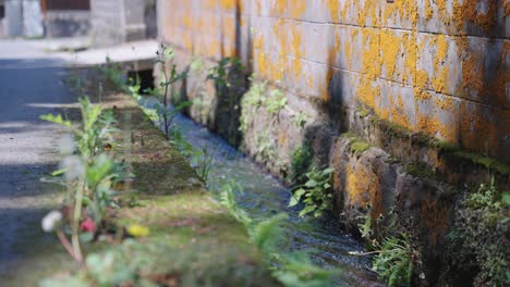 Sunny-day-on-old-fashioned-Japanese-Street-with-mountain-water-canal