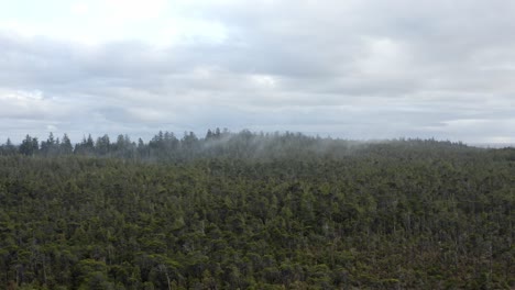 Few-Wispy-Clouds-Over-Coniferous-Tree-Forest-Near-Tofino-Beach-In-Vancouver-Island,-BC-Canada