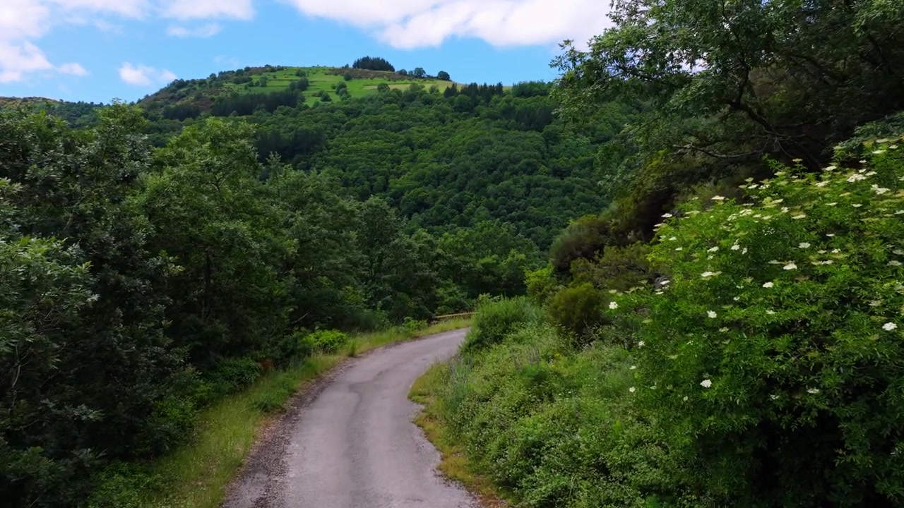 Strada sterrata attraverso la foresta in montagna. - Ripresa aerea.