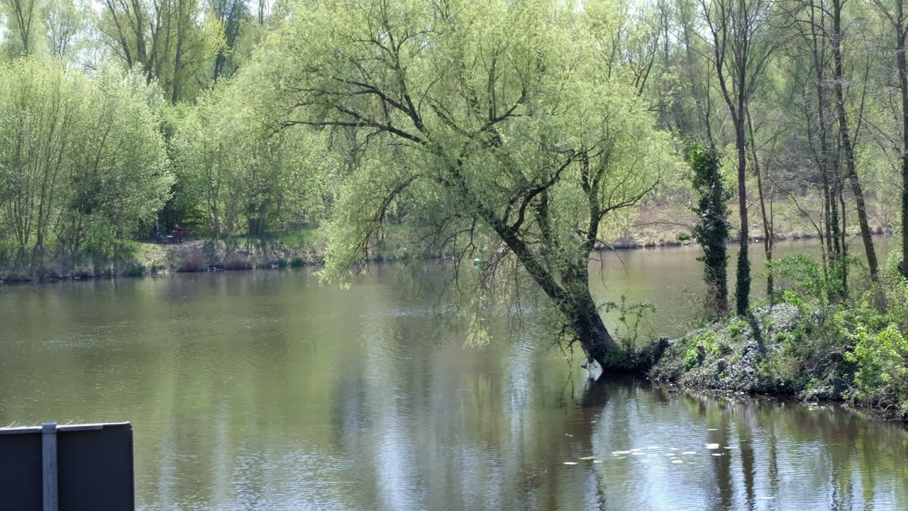 The Teltow Canal in Berlin Steglitz. A tree looms over the water. The camera moves on a slider from left to right. Rails of a bridge are crossing the view in the foreground.