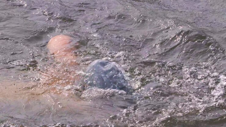 Indian man swimmer swimming in river open water with swimming cap and goggles close up