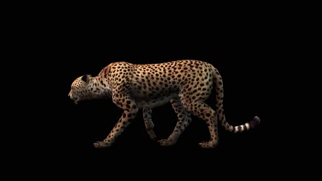 Ein-Gepard,-Der-Auf-Schwarzem-Hintergrund-Läuft,-Mit-Alphakanal-Am-Ende-Des-Videos,-3D-Animation,-Seitenansicht,-Animierte-Tiere,-Nahtlose-Schleifenanimation