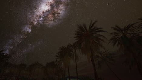 Night-shot-with-palm-trees-and-milky-way-in-background