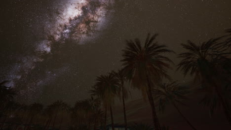 tiro de noche con palmeras y la vía láctea en el fondo