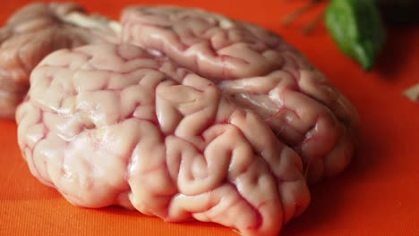 Raw Brain