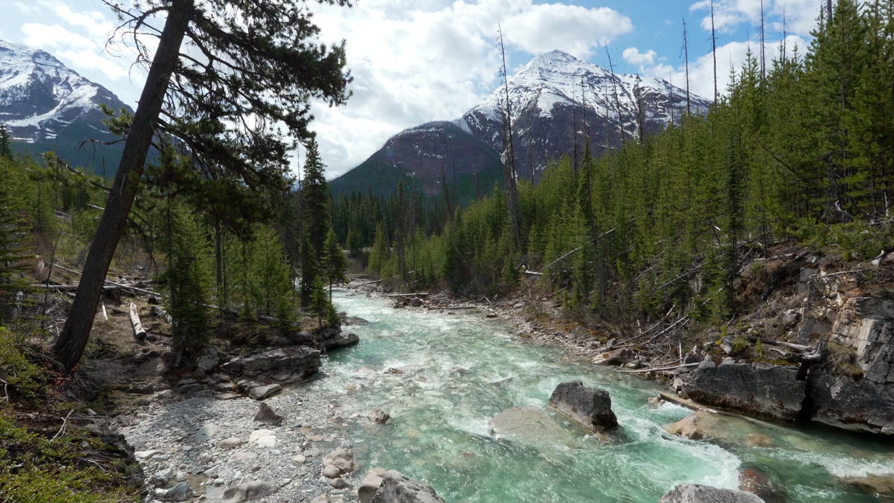Glacial river flowing through Marble Canyon in Kootenay National Park, Canada