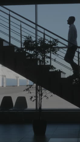 airport interior with stairs and plant